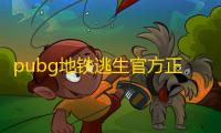 pubg地铁逃生官方正版